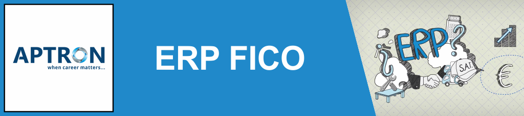 Best erp-sap-fico training institute in noida