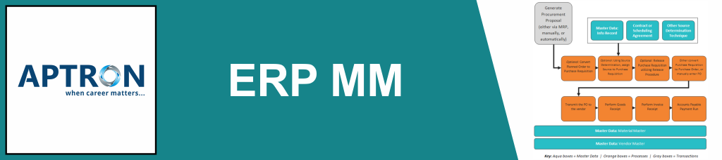 Best erp-sap-mm training institute in noida