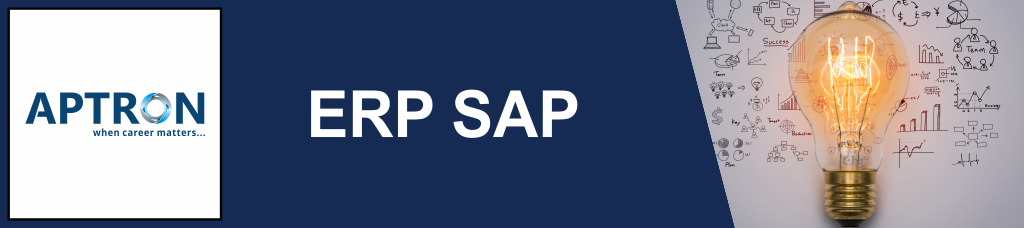 Best erp-sap training institute in noida