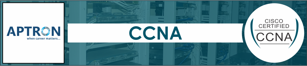Best Project based 6 Weeks Summer Training on CCNA in Noida