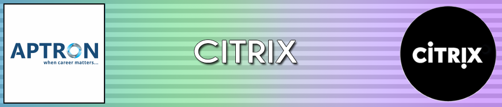 Best citrix training institute in noida