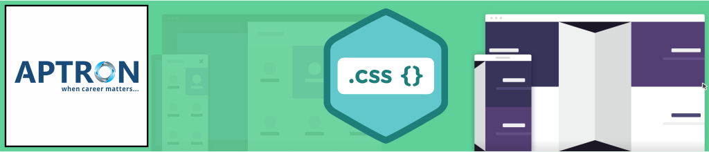 Best css training institute in noida