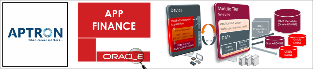 Best oracle-app-finance training institute in noida