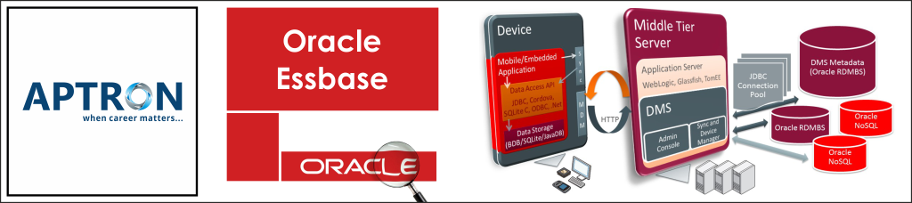 Best oracle-essbase training institute in noida