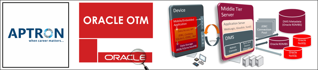 Best oracle-otm training institute in noida