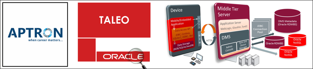 Best oracle-taleo training institute in noida