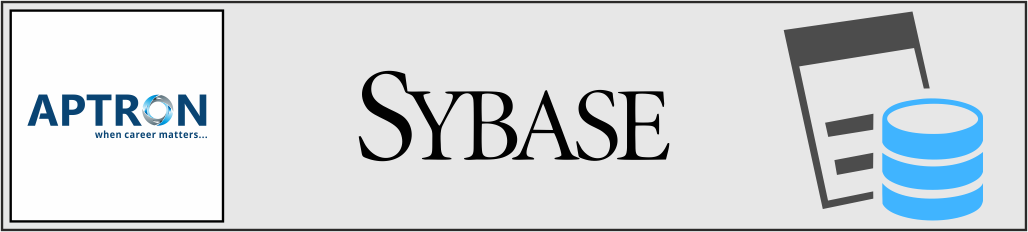 Best sybase training institute in noida